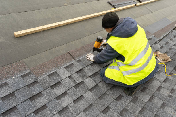 Best Roofing Contractors for Homes  in Point Mackenzie, AK