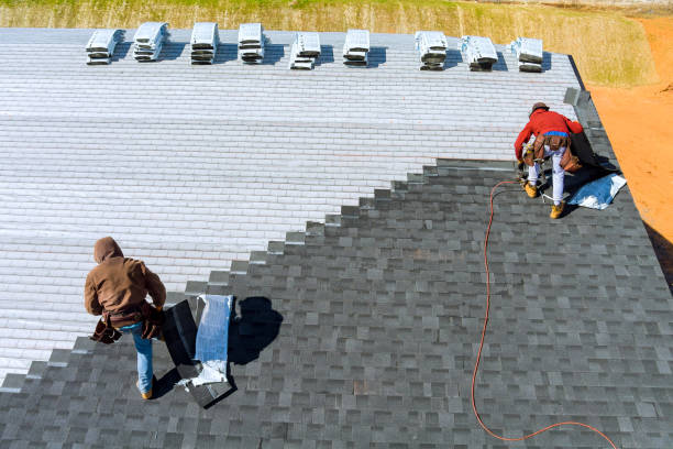 Best Tile Roofing Contractor  in Point Mackenzie, AK