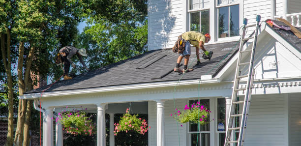 Best Roof Maintenance Services  in Point Mackenzie, AK